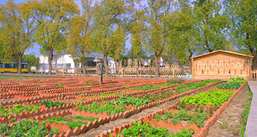 假期去哪？遛娃去哪？团建去哪？研学去哪？聚会去哪？露营去哪？