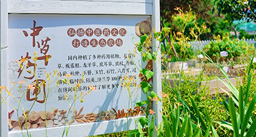 假期去哪？遛娃去哪？团建去哪？研学去哪？聚会去哪？露营去哪？